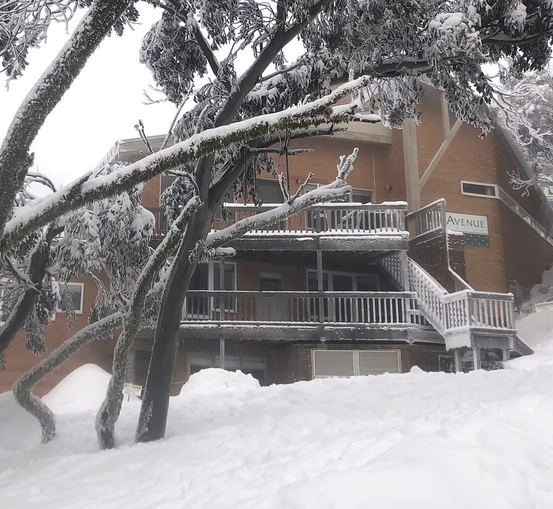 The Avenue Ski Club lodge seen through snow-laden snow gums after a heavy fall, deep snow banked below and the Avenue sign visible on the brick facade.